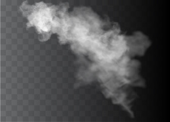 Transparent special effect stands out with fog or smoke. White cloud vector