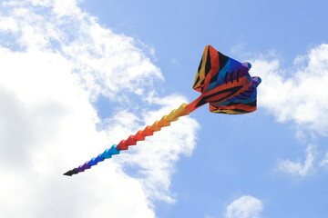 kite flying in the sky