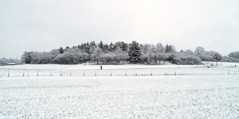 Malmsheim Winter