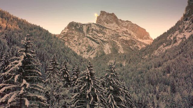 A Magnificent Aerial Proximity Traveling over the snowy Forest of the Reserve of Sixt-fer-&agrave;-Cheval during winter, French Alps.