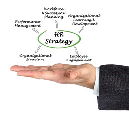 Five applications of HR management