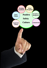Components of  Positive Safety Culture.