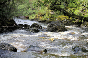 Naklejka na ściany i meble A view of a stream near Loch Lomond in Scotland