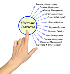 Twelve Components of Electronic Commerce.