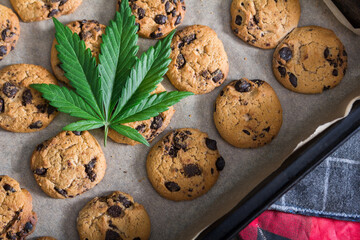 Fresh Cannabis Butter Cookies with Chocolate Chips