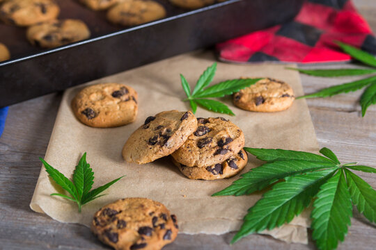 Fresh Cannabis Butter Cookies with Chocolate Chips