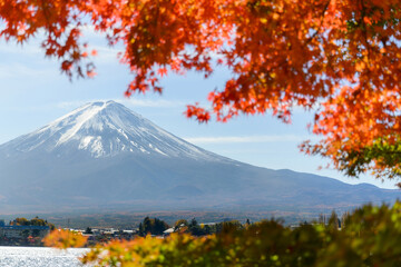 Fototapeta premium beautiful view of Fuji san mountain with colorful red maple leaves and winter morning fog in autumn season at lake Kawaguchiko, best places in Japan, travel and landscape nature concept