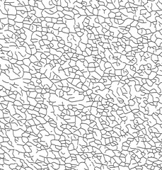 Cracks and faults texture. Cracks and faults background