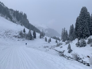 Fototapeta na wymiar Winterwanderung im Schneegestöber