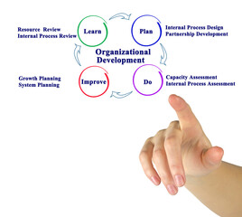 Presenting Components of Organizational Development