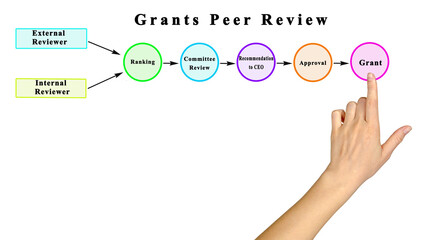 Components of Grants Peer Review Process
