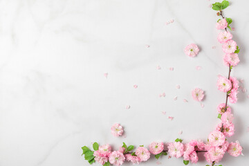 Spring pink cherry blossom branches on white marble background. Womens Day, Wedding concept. flat lay