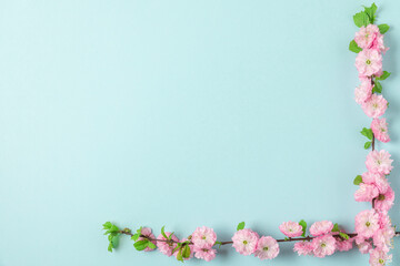 Fototapeta na wymiar Pink flowers on a pastel blue background. Womens Day, Mothers Day, Valentines Day, Wedding concept. flat lay
