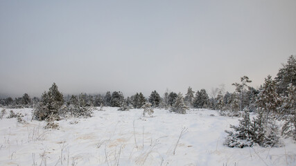 Winterlandschaft im Nebel