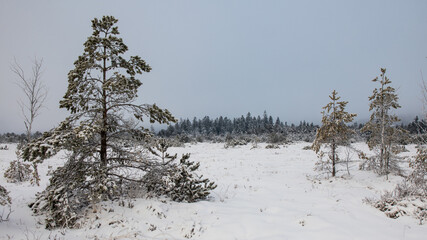 Winterlandschaft 