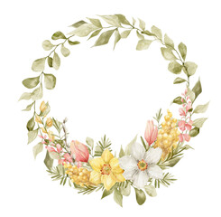 Watercolor wreath with mimosa, narcissus, tulip flowers and leaves. Elegant spring bouquet. Feminine frame for mother's day, women's day. Flower arrangement. Blossom summer vintage wreath
