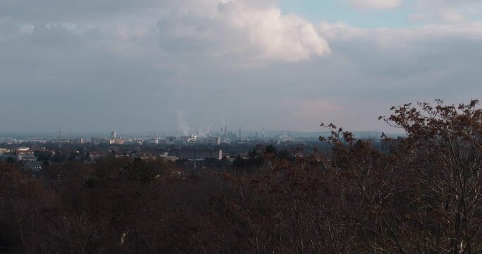 City buildings behind the park.
