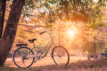Fototapeta premium A bicycle parking on the yellow nature landscape