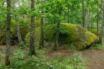 big stones boulders in the forest