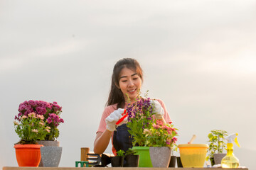 Portrait of smiling  young asian woman with  glove planting flower  in garden at outdoor