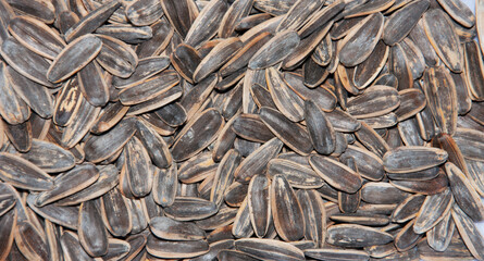 background of sunflower seeds photographed in close-up