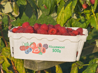 Himbeeren