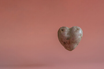 Heart shaped potatoes on a pink background with levitation effect. The concept of farming,...