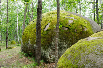 big stones boulders in the forest