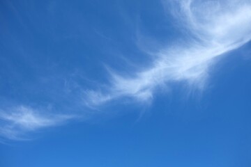 Naklejka na ściany i meble Fuzzy White Cloud in Blue Sky.
