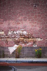 old brick wall with peeling plaster and weeds