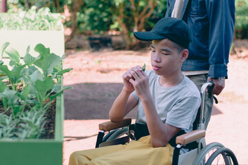 Asian special child on wheelchair and teacher happy on vegetable garden background,Activity in outdoor classroom with school, Life in the education age of disabled children,Happy disabled kid concept.