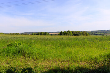 view of the fields in Ukraine