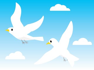 青空を飛ぶ2羽の白い鳥