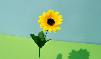 Yellow flower on a green and blue bacgkround. Spring art.