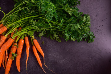 Fresh carrots with green tops on a dark gray table.