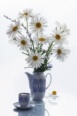 Still life with bouquet of daisy flowers