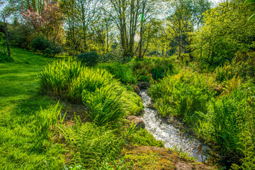 Fototapeta na wymiar Springtime garden stream in Dartmoor