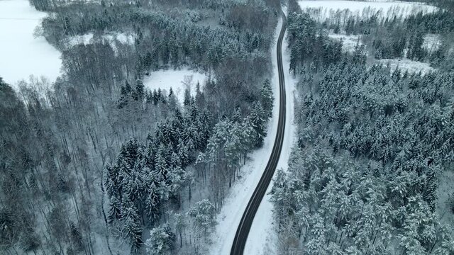 two cars driving on a black asphalt road true the forest covered with white snow between pine trees near Pieszkowo (Poland). Steady drone shot