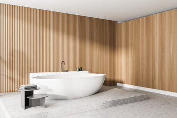 Fototapeta na wymiar Modern wooden bathroom corner with tub