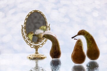 Naklejka premium Fruit funny story with pears