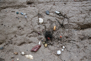 Sandoberflächen / Hintergrund