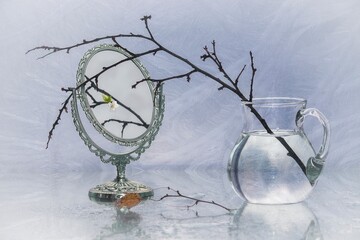 Still life with mirror and tree branch