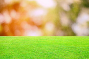 Fototapeta premium Grass Field Ground with Natural Bokeh Background and Light Leak, Suitable for Product Presentation Backdrop, Display, and Mock up.