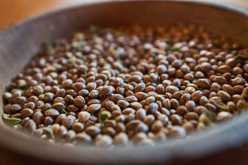 Marijuana Seeds Close-Up. Top view Medical Cannabis Seed.