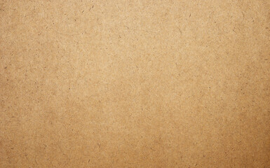 Sheet of brown paper or cardboard texture for background.