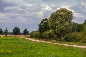 A country road winds through meadows and fields against a cloudy sky. Rural landscape.