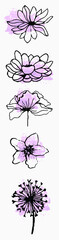 floral pattern. set of plants on a watercolor brushstroke. linear floristics, vector illustration, watercolor vector