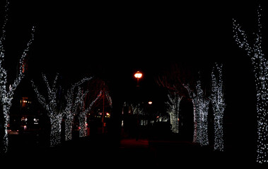 諏訪湖イルミネーション