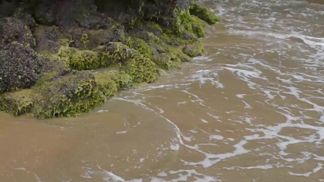 flowing water touching the stones full of green algae- sintaxis