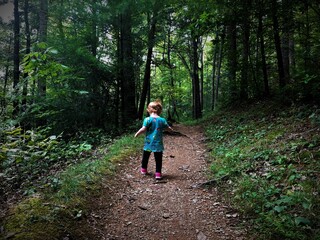 Fototapeta premium Take a hike. Great Smoky Mountains National Park, Tennessee. 